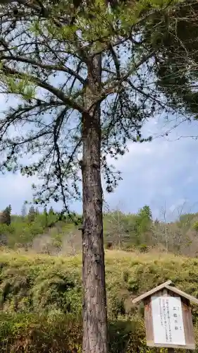 玉桂寺の{uncategorized: "未分類", other: "その他", undefined: "問題あり", building: "その他建物", grave: "お墓", sacred_gate: "鳥居", guardian: "狛犬", statue: "像", buddha: "仏像", history: "歴史", nature: "自然", garden: "庭園", animal: "動物", pagoda: "塔", temizu: "手水舎", mountain_gate: "山門・神門", sanctuary: "本殿・本堂", subordinate: "末社・摂社", art: "芸術", scenery: "景色", jizo: "地蔵", ema: "絵馬", goshuin: "御朱印", omikuji: "おみくじ", items: "授与品その他", amulet: "お守り", goshuincho: "御朱印帳", eats: "食事", festival: "お祭り", votive_dance: "神楽", shichigosan: "七五三参", wedding: "結婚式", experience: "体験その他", initially: "初詣", around: "周辺", anti_infection: "感染症対策"}