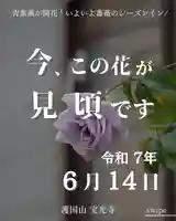 【写真1】