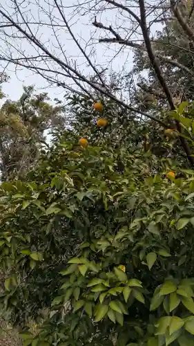 平野神社(京都府)