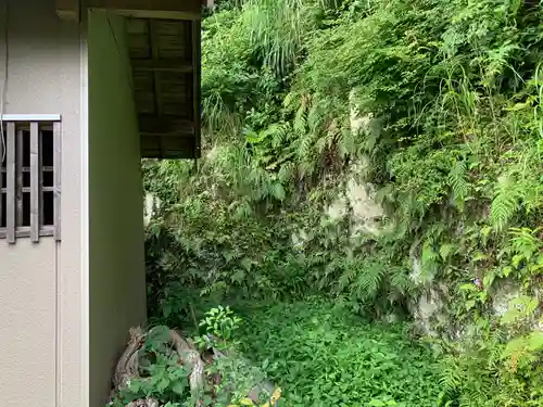白幡神社の本殿・本堂