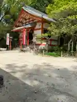 天開稲荷社の本殿・本堂