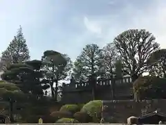 泉岳寺の自然