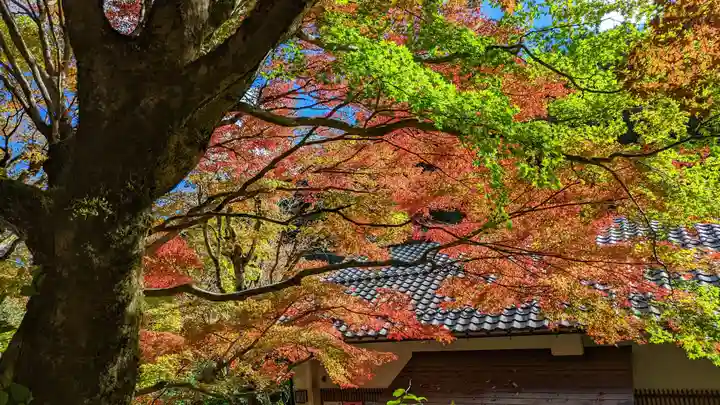 寂光院(京都府)
