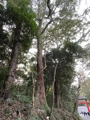 宇佐神宮の{uncategorized: "未分類", other: "その他", undefined: "問題あり", building: "その他建物", grave: "お墓", sacred_gate: "鳥居", guardian: "狛犬", statue: "像", buddha: "仏像", history: "歴史", nature: "自然", garden: "庭園", animal: "動物", pagoda: "塔", temizu: "手水舎", mountain_gate: "山門・神門", sanctuary: "本殿・本堂", subordinate: "末社・摂社", art: "芸術", scenery: "景色", jizo: "地蔵", ema: "絵馬", goshuin: "御朱印", omikuji: "おみくじ", items: "授与品その他", amulet: "お守り", goshuincho: "御朱印帳", eats: "食事", festival: "お祭り", votive_dance: "神楽", shichigosan: "七五三参", wedding: "結婚式", experience: "体験その他", initially: "初詣", around: "周辺", anti_infection: "感染症対策"}