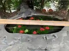 草薙神社の手水