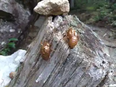 岩屋神社(妙見神社 祖師野八幡宮摂社)(岐阜県)