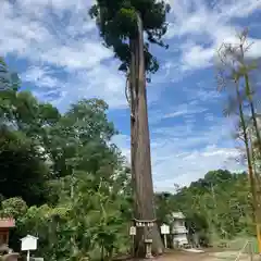 鶴峯八幡宮の自然