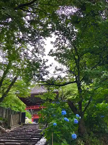 楽法寺（雨引観音）のその他建物