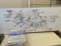 十六羅漢岩 (山形県)