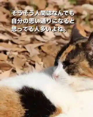 専念寺(大阪府)