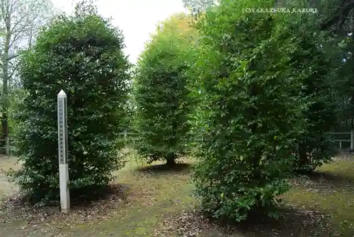 氷川女體神社(埼玉県)