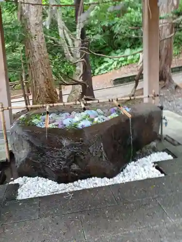 千歳神社の手水