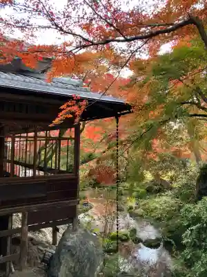 宝厳院(京都府)