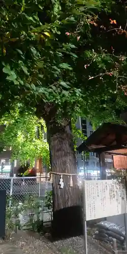 庚申神社(埼玉県)