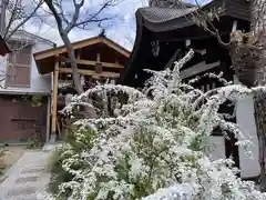 一宮神社の自然