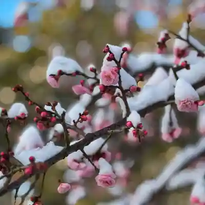 伊勢の国 四天王寺(三重県)