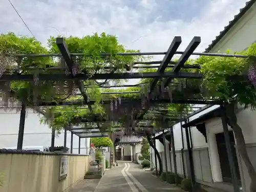 善光寺大本願(長野県)