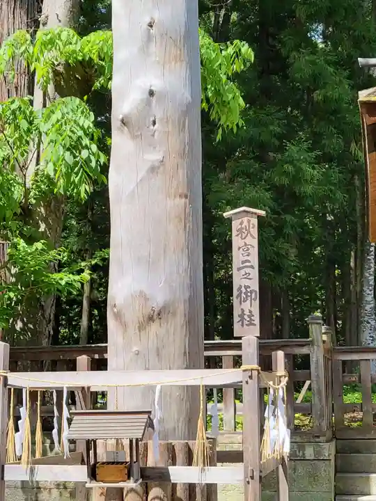 諏訪大社下社秋宮(長野県)