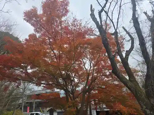 出雲大神宮(京都府)