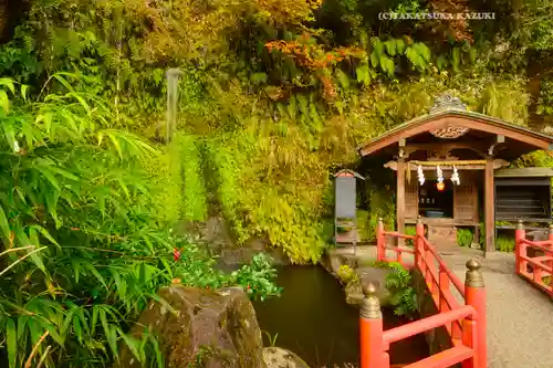 銭洗弁財天宇賀福神社(神奈川県)