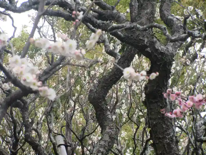 宝戒寺(神奈川県)