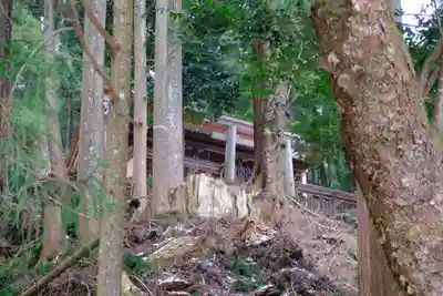 金峯神社（吉野町）のその他建物