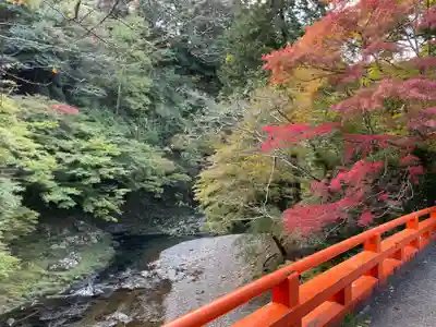 西明寺(京都府)