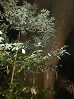 幣立神宮(熊本県)