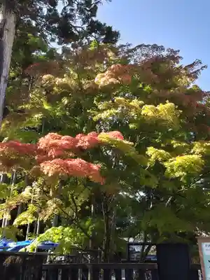 瑞巌寺(宮城県)