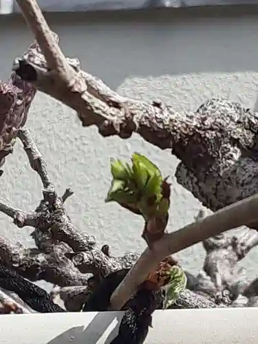 西方山極楽寺(岐阜県)