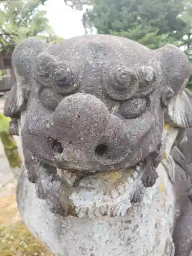 熊野神社の狛犬