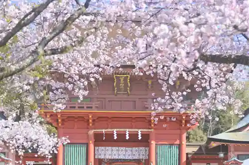 富士山本宮浅間大社(静岡県)