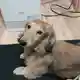 ツヨ