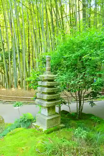 報国寺(神奈川県)