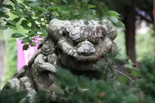 高司神社〜むすびの神の鎮まる社〜の狛犬