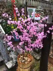 坂本八幡神社(徳島県)