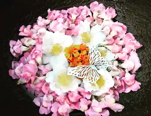 真言宗　善通寺派　薬王寺(香川県)