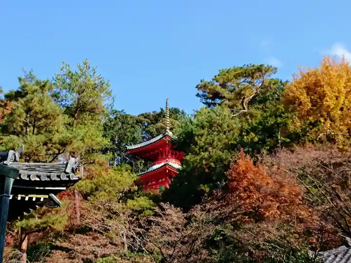 今熊野観音寺のその他建物