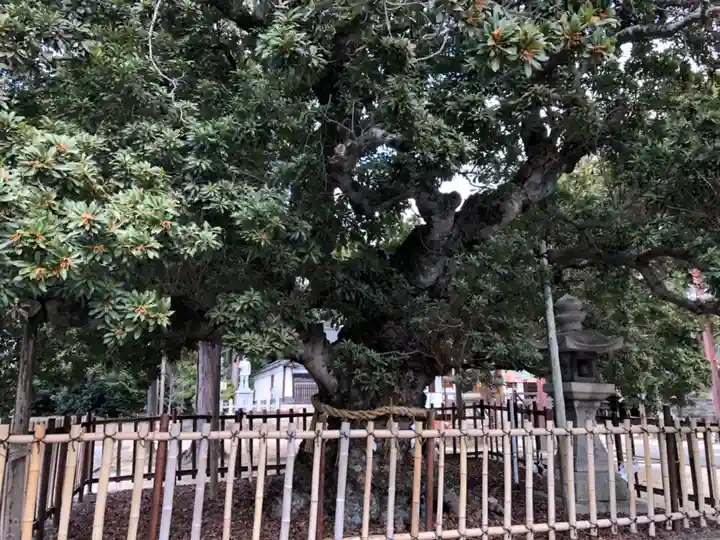 神服神社の自然