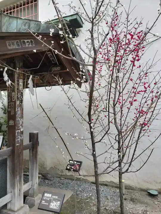 櫻木神社(東京都)