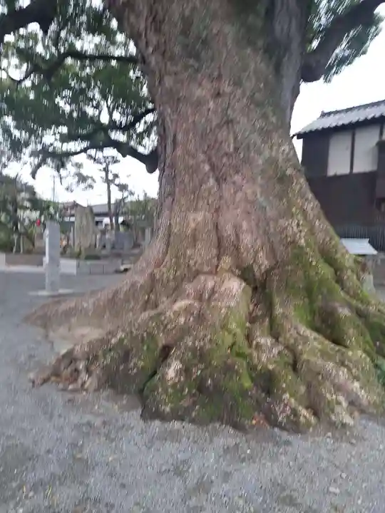 安長寺(福岡県)