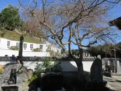 妙音寺のその他建物