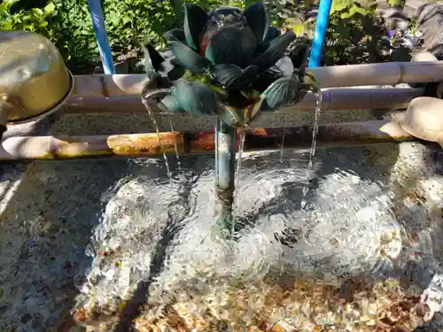 信松院の手水舎