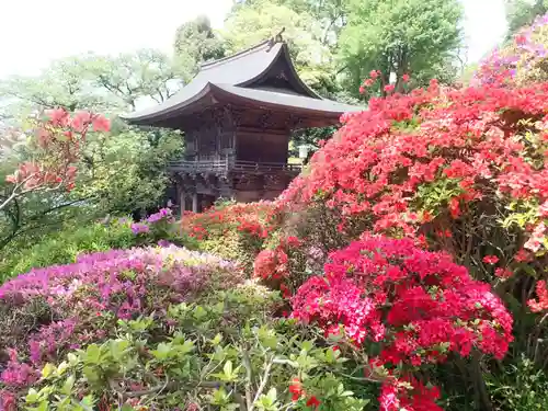 等覚院の御朱印
