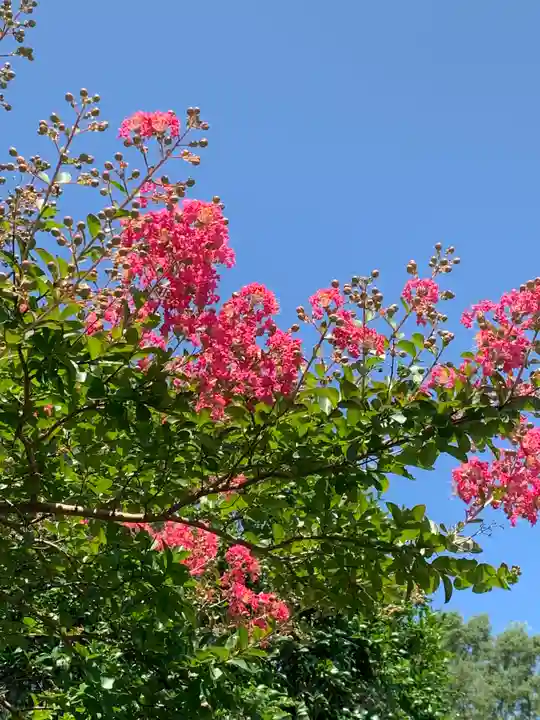 長泉寺(栃木県)