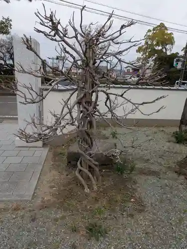 西善院(神奈川県)