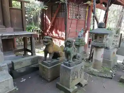 渋谷氷川神社の狛犬