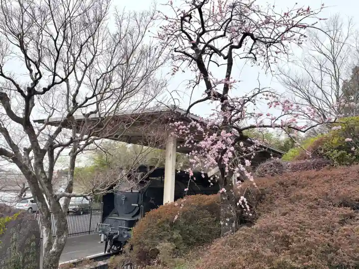 真龍寺(大阪府)