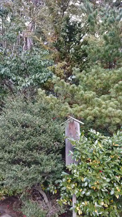 稲葉神社の自然