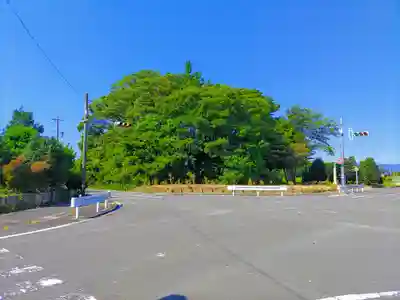 神明社(甲新田甲中)の自然